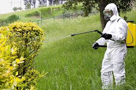 Garden Pest Control & Prevention