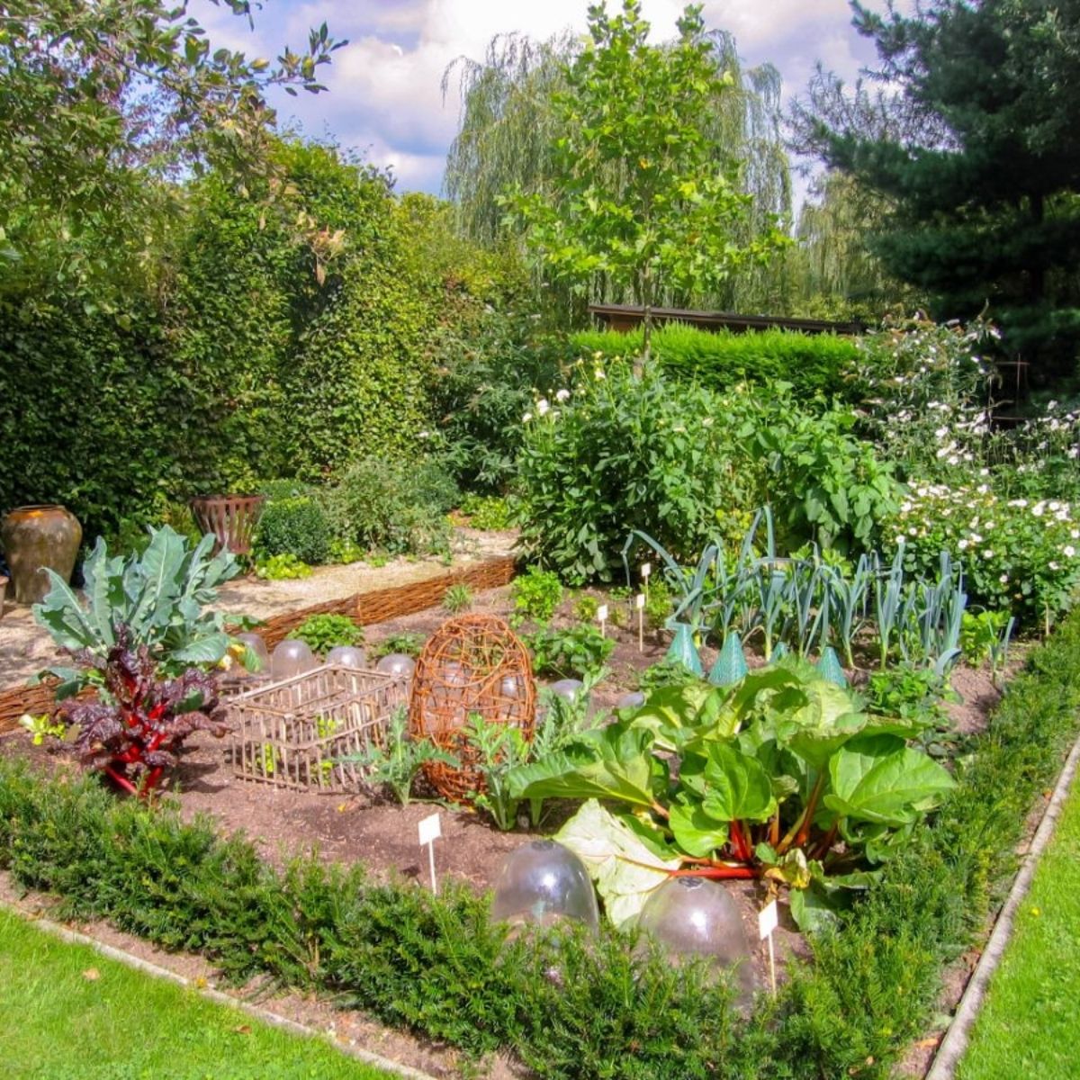 Edible Garden Installation