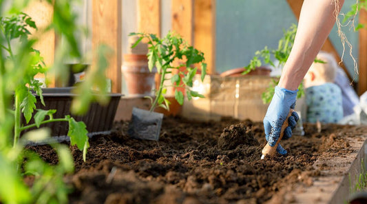 Flower Bed Maintenance