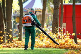 Garden Cleanup & Seasonal Refresh