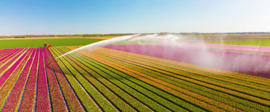Irrigation Setup & Optimization