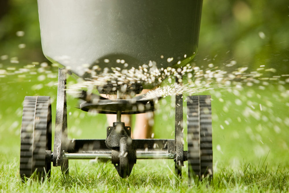 Lawn Restoration & Seeding