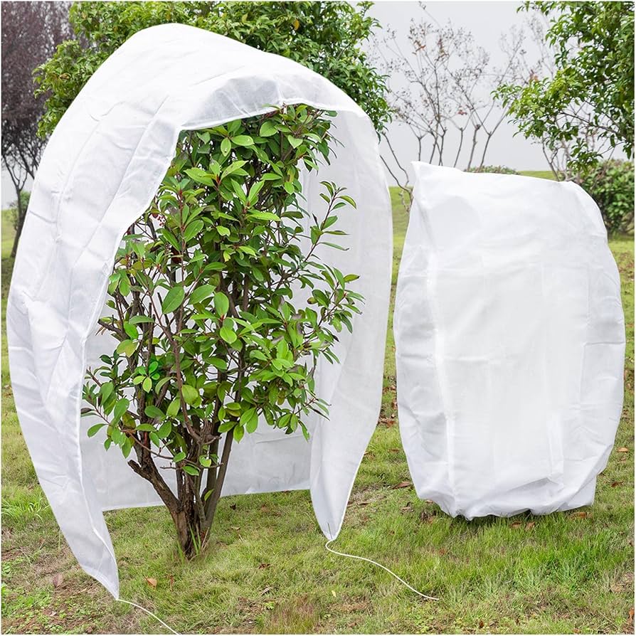 Plant & Shrub Winter Protection