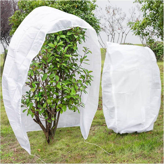 Plant & Shrub Winter Protection