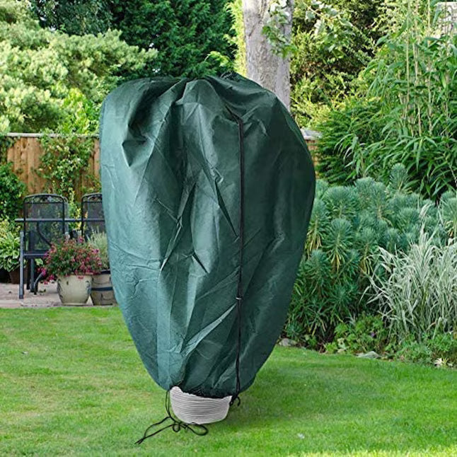 Plant & Shrub Winter Protection