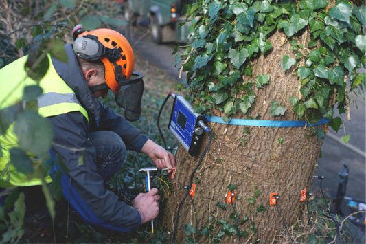 Tree Pruning & Health Inspection
